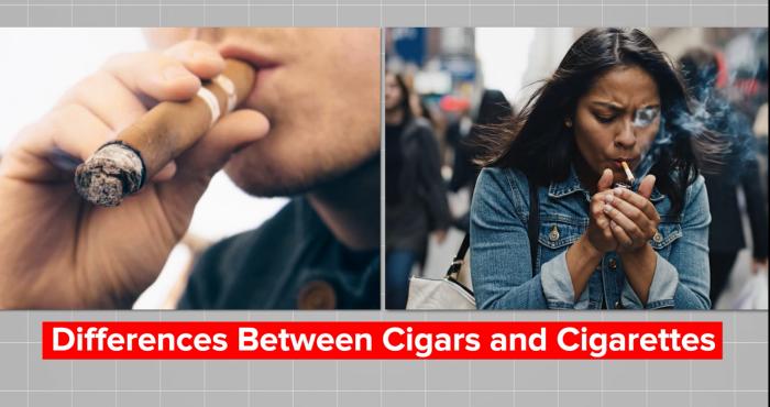 what is the difference between a cigar and a cigarette Cigars vs Cigarettes: Risks, Rewards & Historical References – Case Elegance