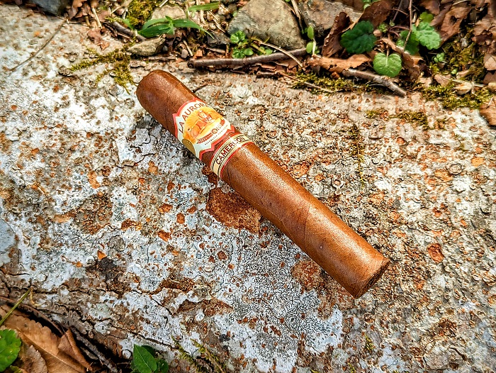 La Aurora 1903 Cameroon Review